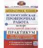 Всероссийская проверочная работа Литературное чтение Е.В. Волкова